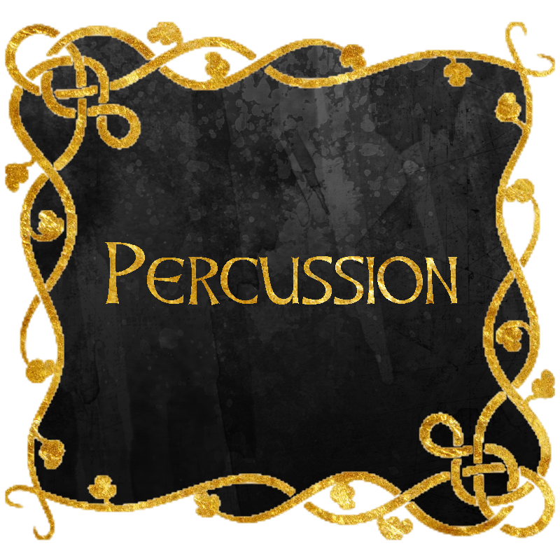 Percussion Section
