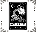 Zodiac Cards Fabric Panel 4 | Aquarius