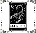 Zodiac Cards Fabric Panel 1 | Scorpio